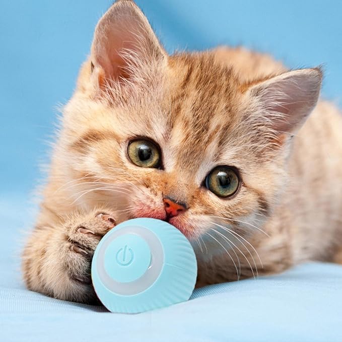 PowerBall Pelota Inteligente para Gatos My Store
