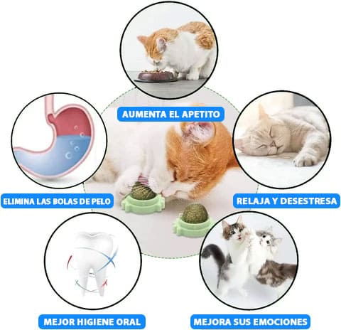 PROMO 2x1 Catnip Ball Juguete para Gato de Hierba Natural My Store