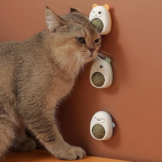 PROMO 2x1 Catnip Ball Juguete para Gato de Hierba Natural My Store