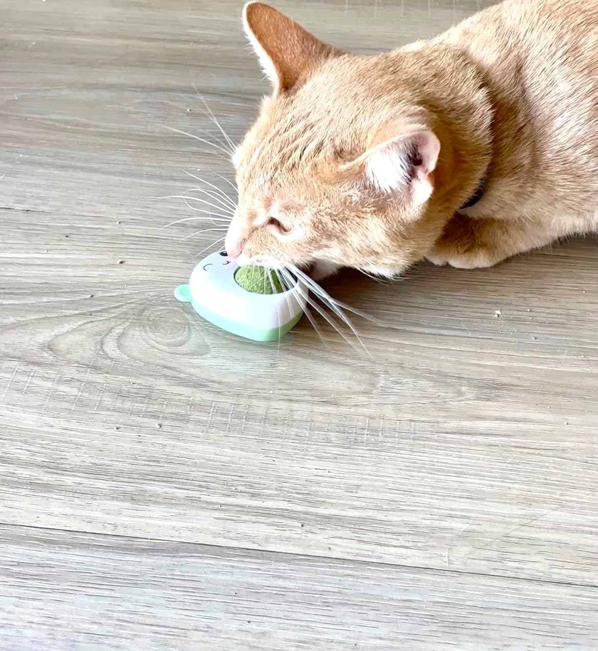 PROMO 2x1 Catnip Ball Juguete para Gato de Hierba Natural My Store