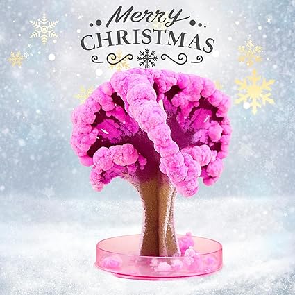 Árbol de Navidad Mágico que Crece | ORIGINAL ⭐⭐⭐⭐⭐ Noah Tienda