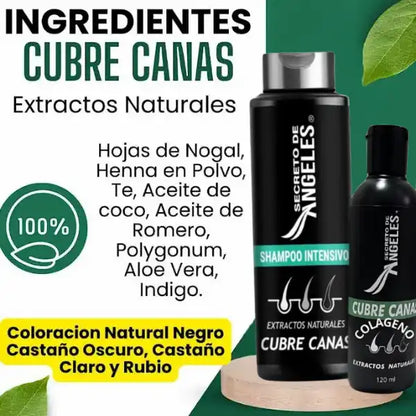 KIT 3x1 - SHAMPO CANAS SECRETOX 1UN+2OBSEQ La Yupi!