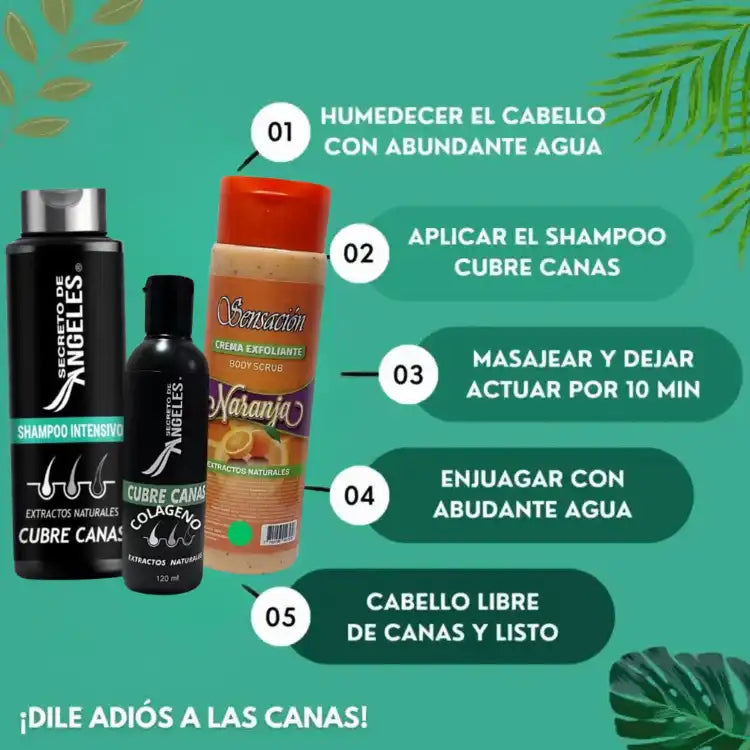 KIT 3x1 - SHAMPO CANAS SECRETOX 1UN+2OBSEQ La Yupi!