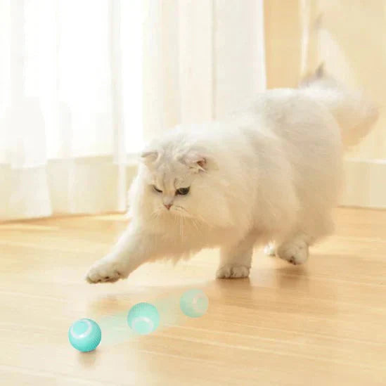 PowerBall Pelota Inteligente para Gatos My Store