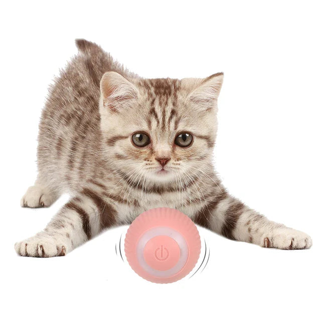 PowerBall Pelota Inteligente para Gatos My Store