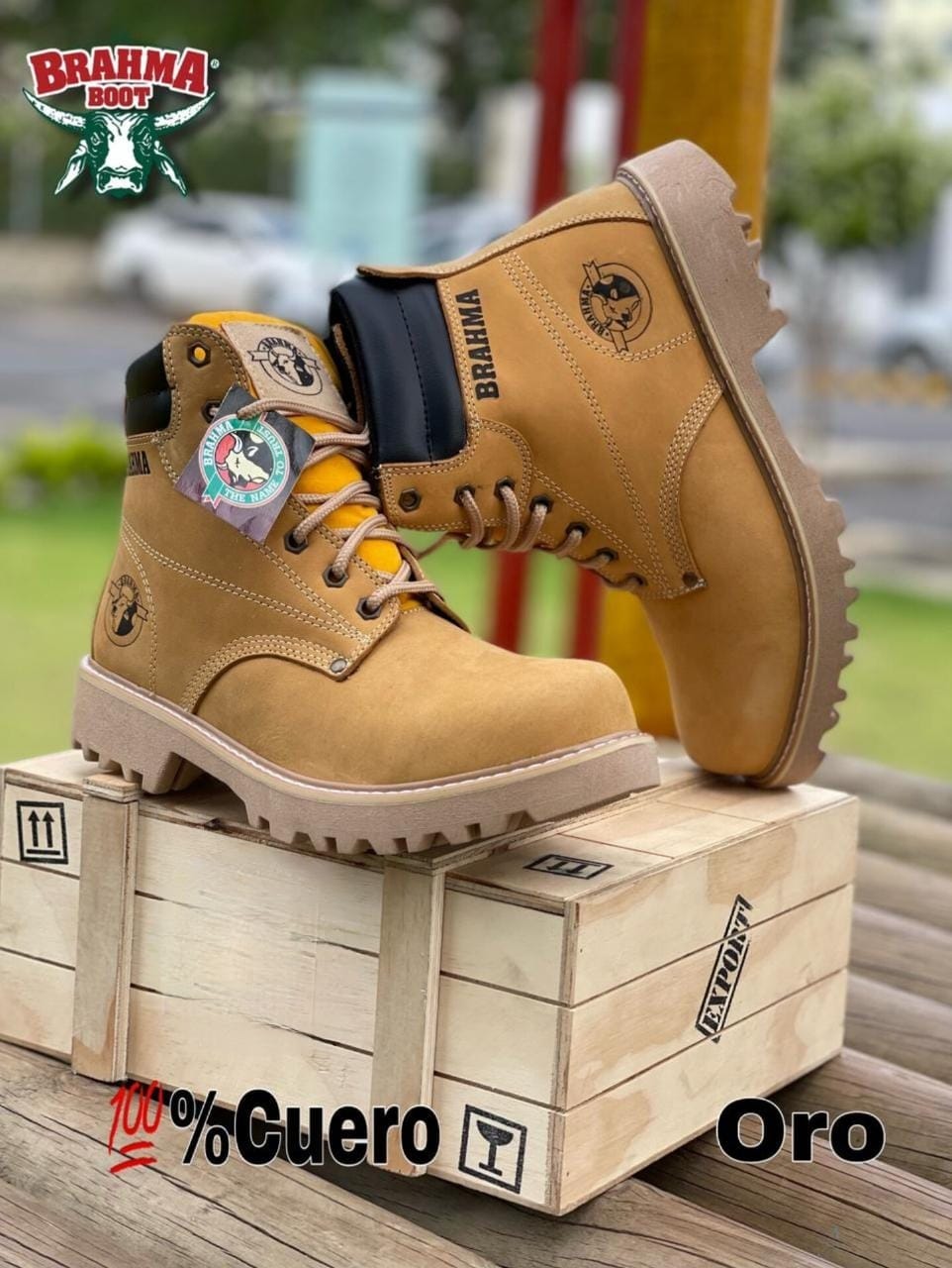 BOTA BRAHMA CLASICA CUERO + CAJA Minha loja