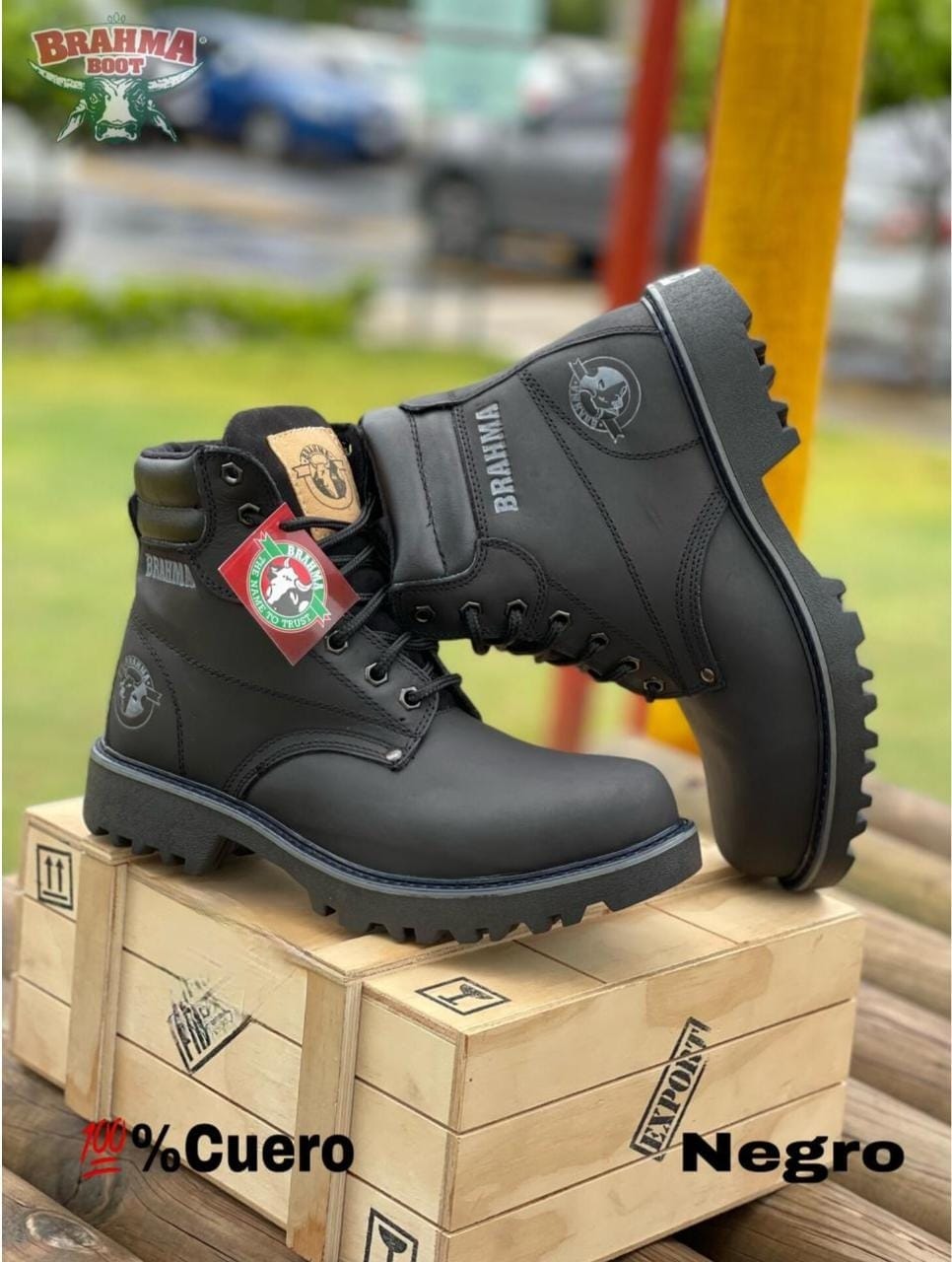 BOTA BRAHMA CLASICA CUERO + CAJA Minha loja