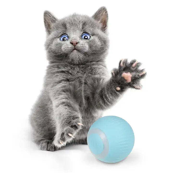 PowerBall Pelota Inteligente para Gatos My Store