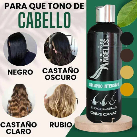 KIT 3x1 - SHAMPO CANAS SECRETOX 1UN+2OBSEQ La Yupi!