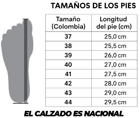 ¡Tenis Lacoste! Nueva colección🐊Tendencia! La Yupi!