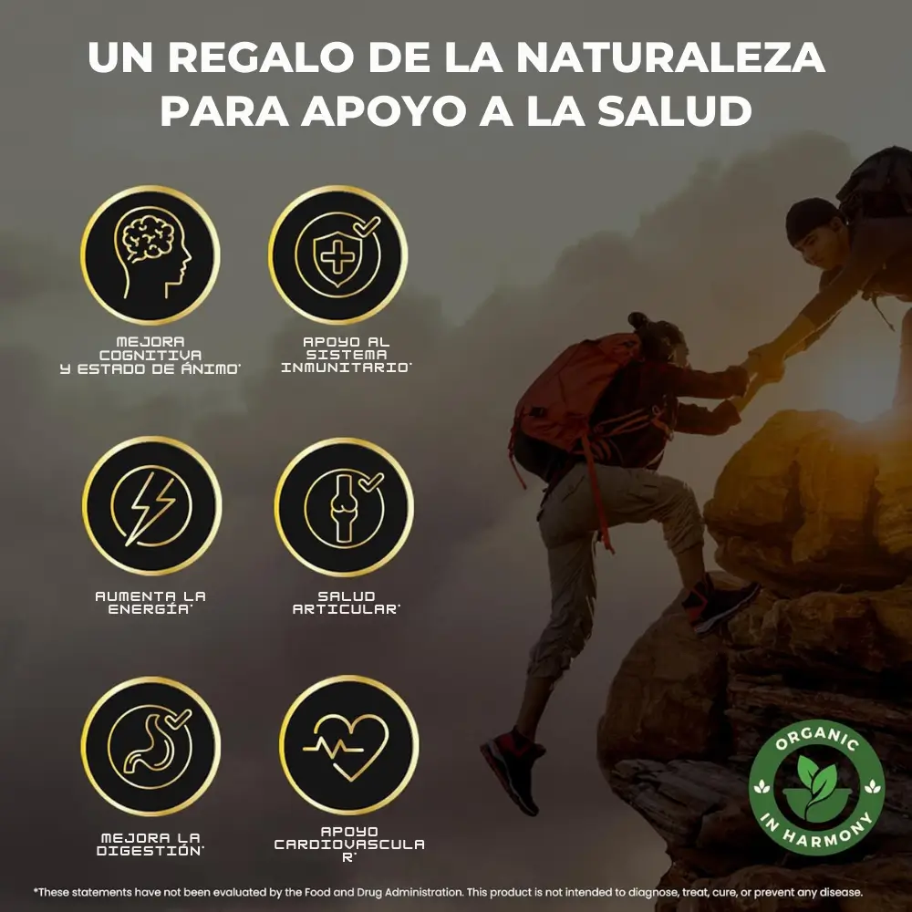 GOMAS SHILAJIT x 180g -MEGA OFERTA Tienda Colombia