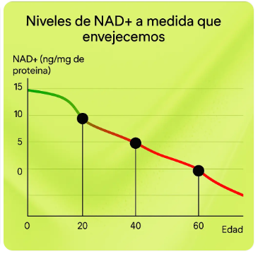 CATA-KOR NAD+ ADVANCED COM REVERATROL Tienda Colombia