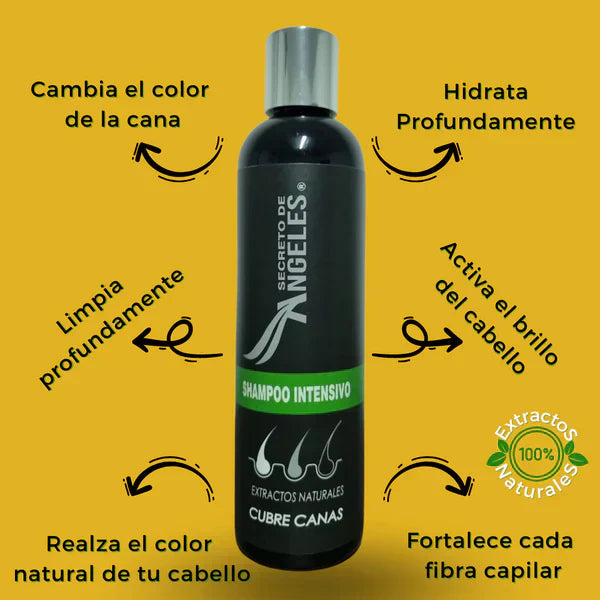 KIT 3x1 - SHAMPO CANAS SECRETOX 1UN+2OBSEQ La Yupi!